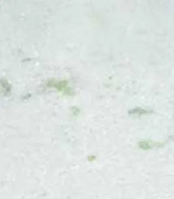 Mármore Branco Pinta Verde