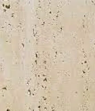 Mármore Travertino Romano Bruto